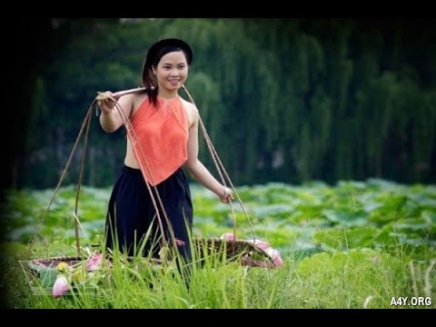 Hotspot Matrix và Pháo: “Nếu có thể khiến ai đó đồng cảm bằng chính tổn thương của mình,_hướng dẫn edit video YouTube