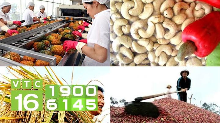 Làm Video Ngắn – Vừa Sáng Tạo, Vừa Kiếm Tiền Với Công Cụ Hữu Ích
